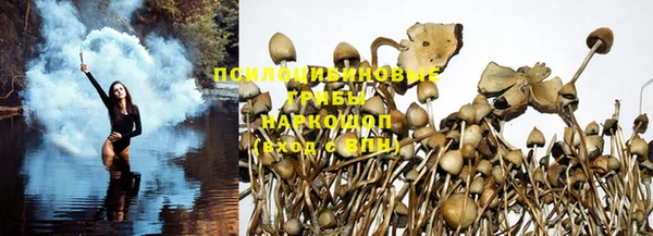 винт Балабаново