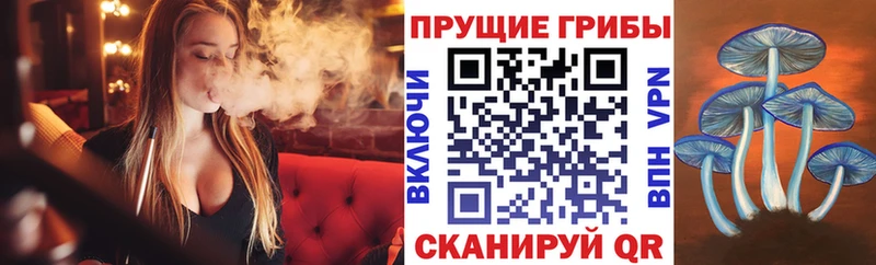 Галлюциногенные грибы Magic Shrooms  как найти закладки  Мамоново 